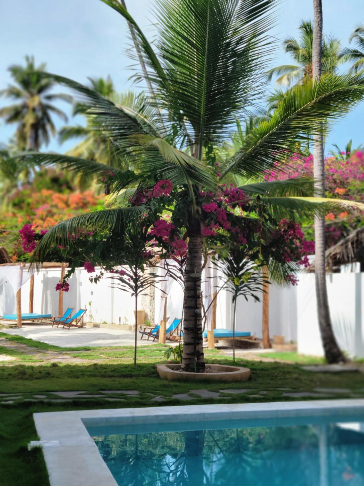 Mambo Cabana Pwani Mchangani Exteriör bild